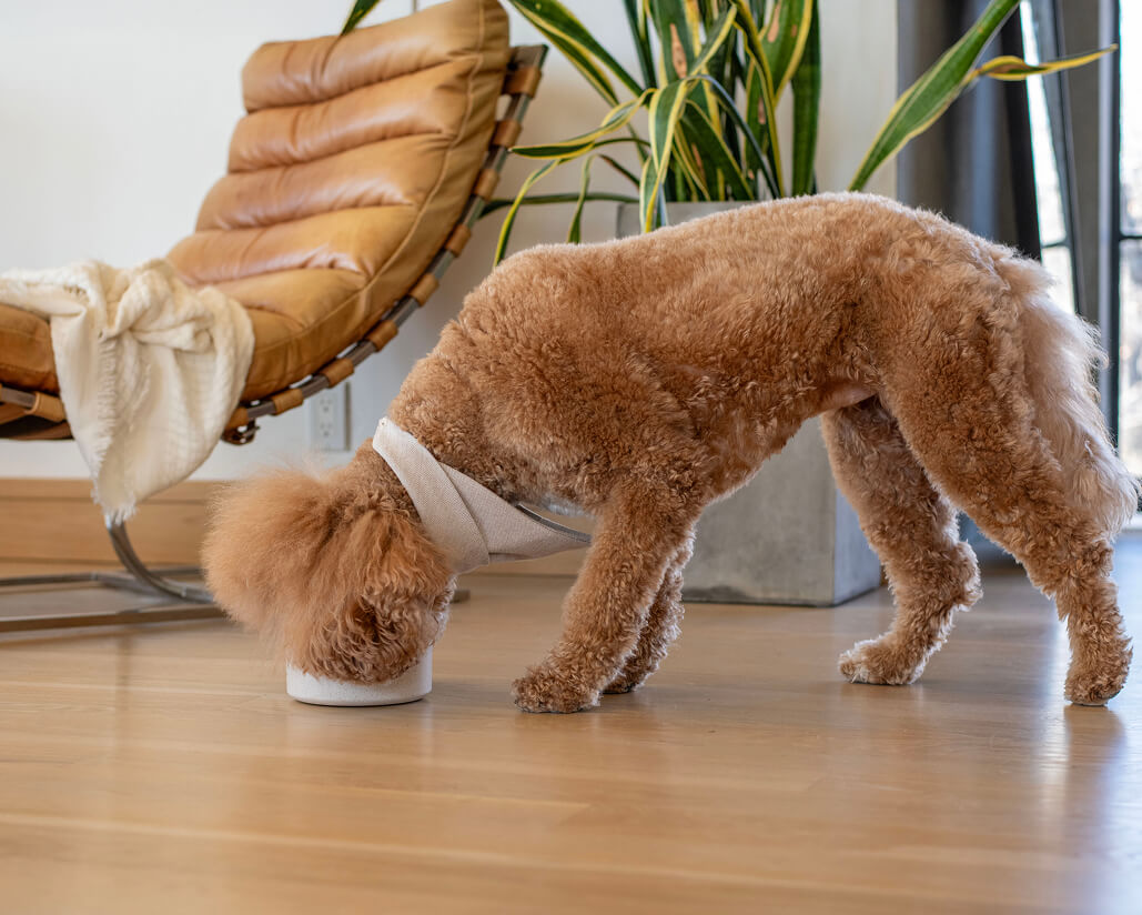 Less processed. More convenient.